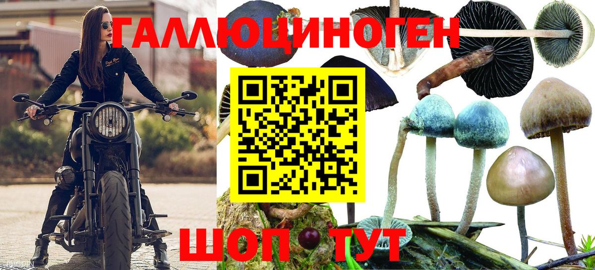 Псилоцибиновые грибы прущие грибы Богородицк