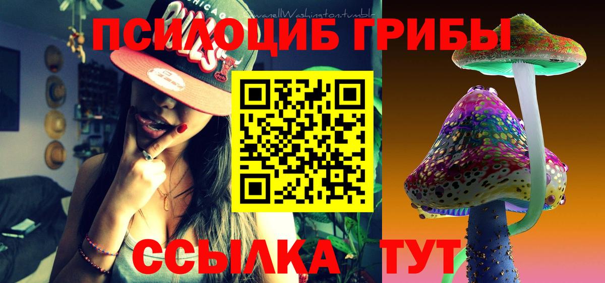 Псилоцибиновые грибы Psilocybe  Псилоцибиновые грибы Magic Shrooms  Богородицк  Вход с VPN 